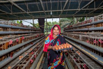 {{brizy_dc_image_alt imageSrc=